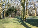 Fruehling 2009   007